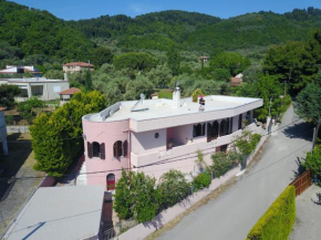 Hotels in Achladi